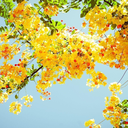 georgelovespies avatar