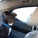 georgemarfington avatar