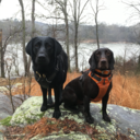 georgia-red-clay avatar