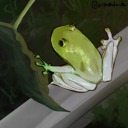 georgiemelroseart avatar