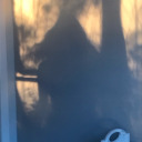 georgiepie159 avatar