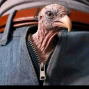 geramsusubesarmilftudung45keats avatar