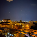 geraniumsworld avatar