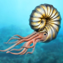 gerberrbabyofficial avatar