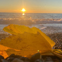 gerbers-world avatar