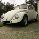 german-gasser avatar