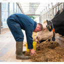 germanrbbrguy avatar