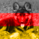 germanwordsandmore avatar