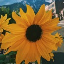 geronimo112363 avatar