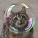 gerryrafferty avatar