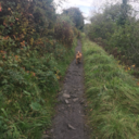 get-a-shift-on avatar