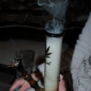 get-high-and-fuuck avatar