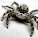 getinkshedtears avatar