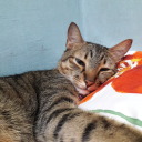 getlostandruncici avatar