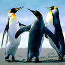 getnaenaedkid avatar