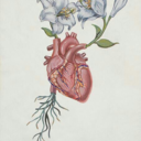 getorganizzed avatar