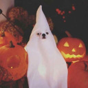 getoutofmyassdammit avatar