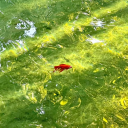 getoutofthere avatar