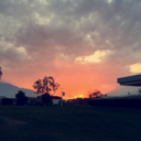 getting-by-on-a-whim avatar