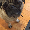 gettingbiwithmylife avatar