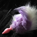 gettingsometail avatar