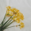 gettingtheresuggestion avatar