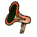 ggg-rumpus-map avatar