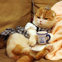 ggggabi-blog-blog avatar