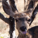 gherkingherkingherkin-blog avatar