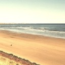 ghost-autonomy avatar