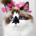 ghostathoughts avatar