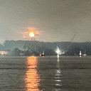 ghostaxolotl44 avatar