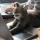 ghostbitsforkicks avatar