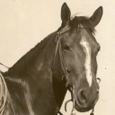 ghostie-toast avatar