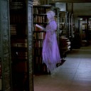 ghostlibrarycat avatar