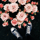 ghostling-go-home avatar