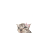 ghostlovesworld avatar