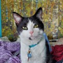 ghostly-squid avatar