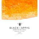 ghostlyavenuecat avatar