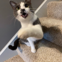 ghostlybitchwitch avatar