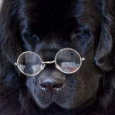 ghostlycloudcollection avatar