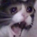 ghostlycoward avatar