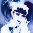 ghostlygardenia avatar