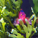 ghostlystudenttravelerstuff avatar