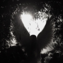 ghostlytragicangel avatar