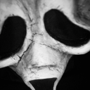 ghostlywint3rs avatar