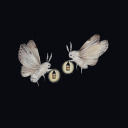 ghostmothlantern avatar