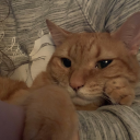 ghostofdragon avatar