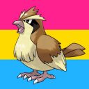 ghostpidgey avatar