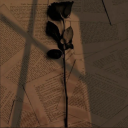 ghostsheburied avatar